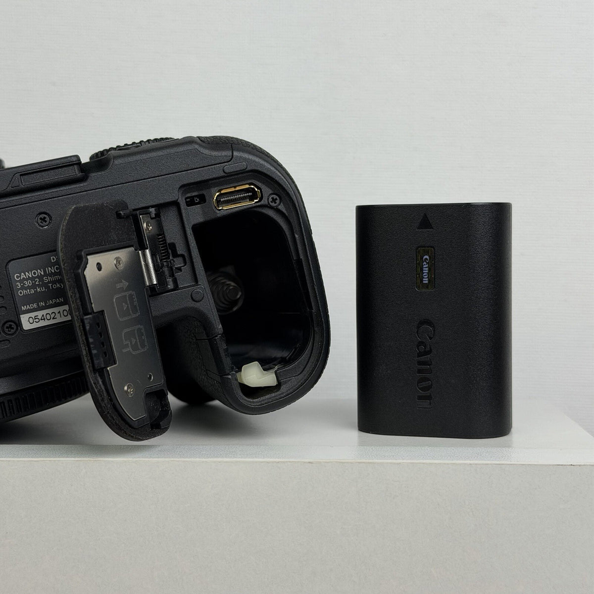 Canon EOS R6 20.1MP Mirrorless Camera Black